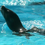 Zoo de Barcelona 03-04-11 283