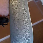 20190315_125500
