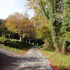 DSCN4696