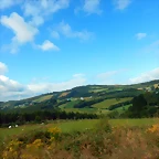DSCN6549