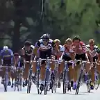 CORRS CLASSIC 1986-BAUER-HINAULT-LEMOND-HAMSTEN,