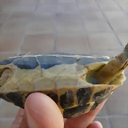 P1110418