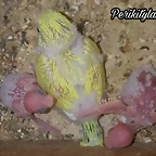 FB_IMG_1574040072343