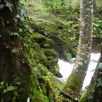 DSCN4183