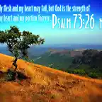 psalm-7326_4898_1024x768