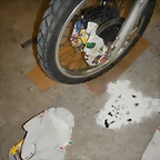 DSCN7897