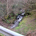 DSCN8161