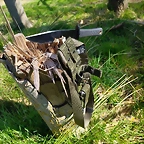 IMG_20250401_114145