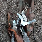 pluma inocentes 6
