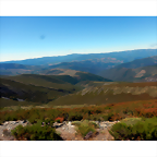 DSCN3619