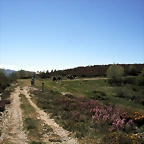 DSCF2545