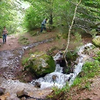 DSCN3872