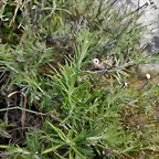 IMG_20210105_160536