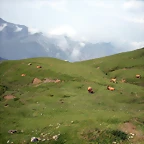 DSCN3677