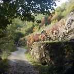 DSCN4452