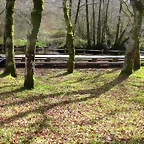 45-IMG_5283