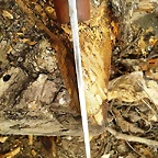 20110916_221401