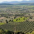 Agricultura en mosaico