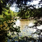 DSCN6354