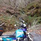 DSCN4979