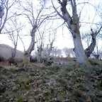 DSCN9099