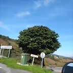 DSCN4737