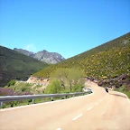 DSCN8535