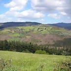DSCN8977