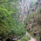 DSCN3768