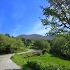33-IMG_6397