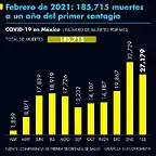 28fCOVID19MEXICO2021-1