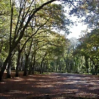 DSCN6369