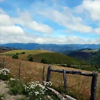 DSCN1404
