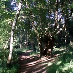 P1010159