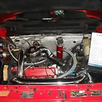 SDC14729