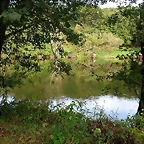 DSCN5293