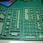 DSCN3524