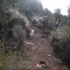 mtb olocau 017