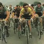 Bernard_Hinault_1979