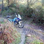 DSCN7483