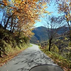 DSCN9141