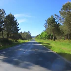 003-Imagen 005