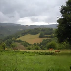 DSCN4736
