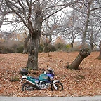 DSCN9519