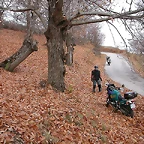 DSCN9520