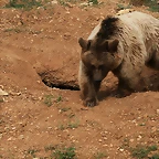 Zoo Lunaret + Sigean 18 i 19-09-10 616