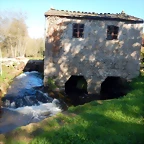 DSCN1069