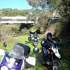 DSCN5519