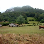 DSCN4237