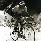 GIRO1968,MERCKX